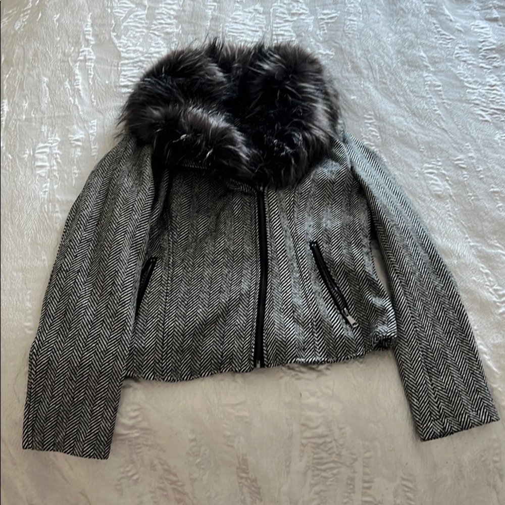 Jacket - Picture 2 of 2